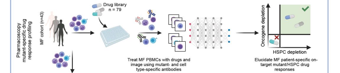 Integrated Drug Response Profiling of Myelofibrosis Patients