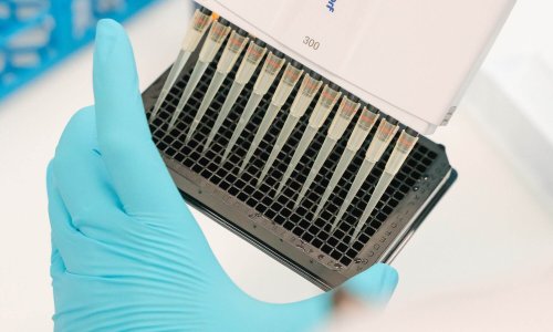 Drug interaction testing using
blood and bone marrow samples in
a 384-well plate