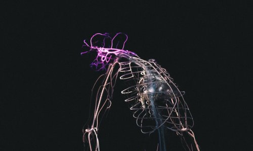 federico-lancellotti-D5HLtyfphrE-unsplash